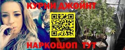 СК Краснодар