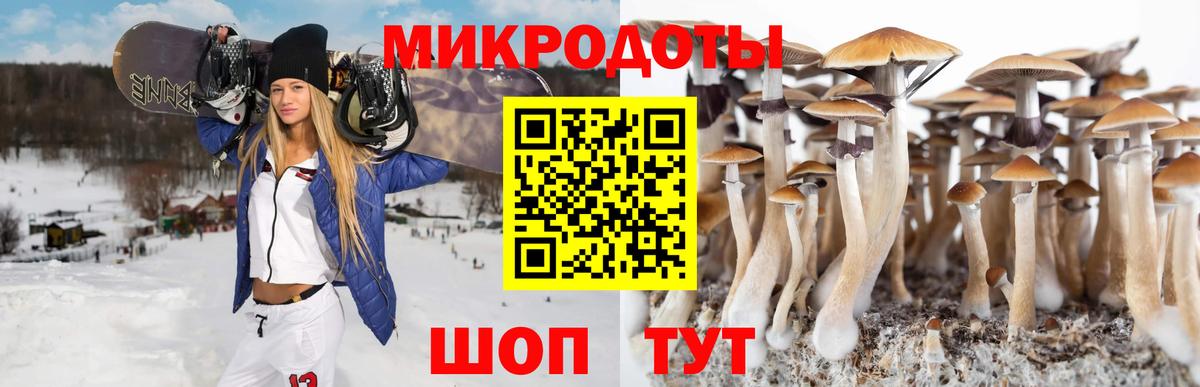 Галлюциногенные грибы MAGIC MUSHROOMS  Галлюциногенные грибы Magic Shrooms  Клинцы  Вход с VPN 